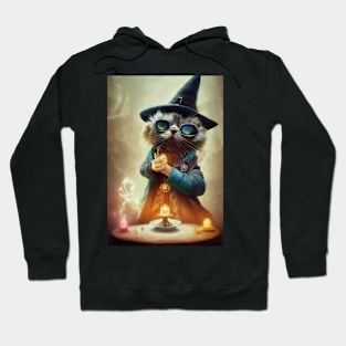 Fantasy Cat Magical Wizard Hoodie